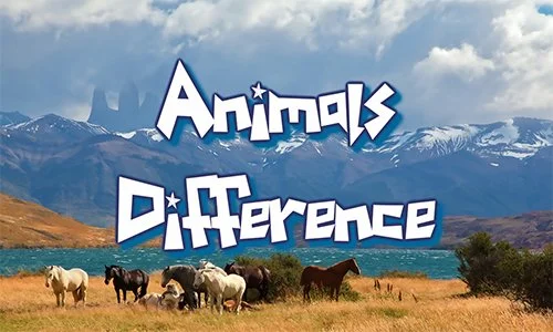 Animal Differences